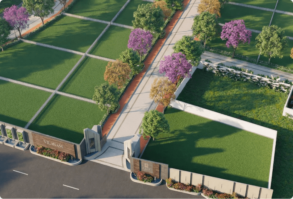 50+ Blooming Trees